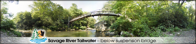 Savage River Reservoir tailwater suspension bridge